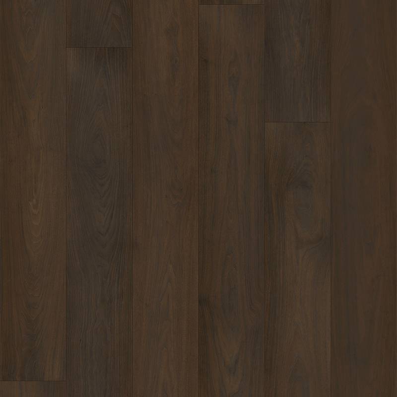 15006在辉煌的季节中